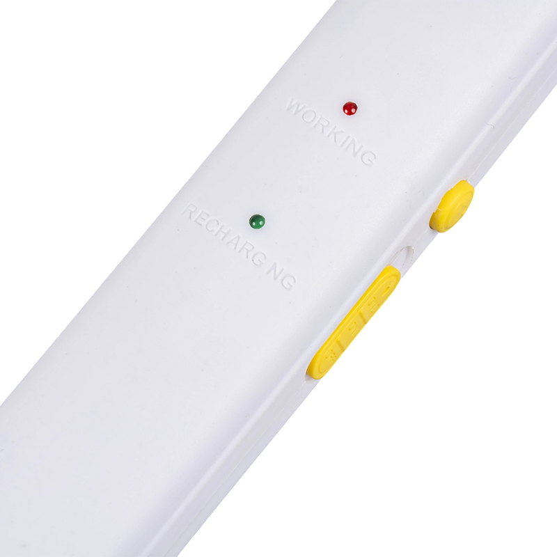 Baterie plumb-acid FF-009 LED 400mAh cu priză Stropitor de țânțari electric Baterie plumb-acid FF-009 LED 400mAh cu priză Stropitor de țânțari electric